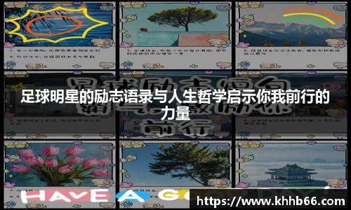 yy体育