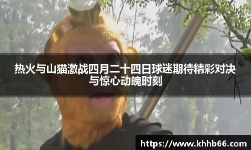 yy体育